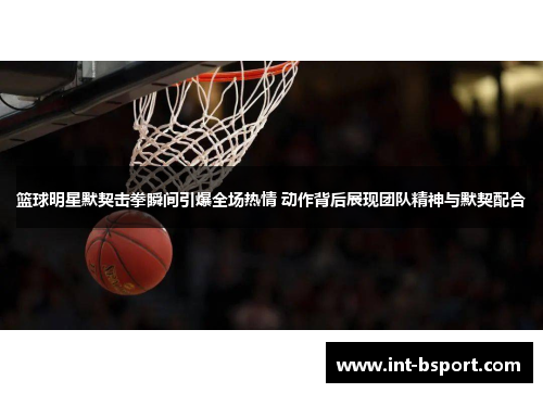 篮球明星默契击拳瞬间引爆全场热情 动作背后展现团队精神与默契配合